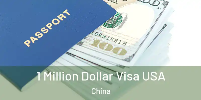  1 Million Dollar Visa USA China